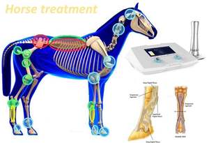 BS-SWT2X इक्वाइन उपयोग पशु और पशु चिकित्सा बिजली मालिश चिकित्सा उपकरण - Product Image 5