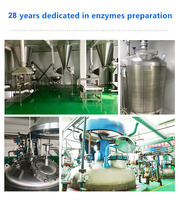 Qualité alimentaire Sunson liquide betaglucanase enzyme bêta glucanase enzyme glucane pour le brassage de la bière