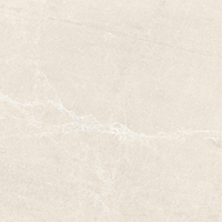 Dalles de pavage extérieures aspect pierre neuves, blanc, beige, gris clair, noir, résistantes, anti-salissures, résistantes aux rayures, antidérapantes