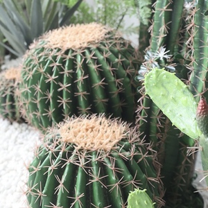 Decoración <span class=keywords><strong>interior</strong></span> Real Touch Ornamental Plantas artificiales Verdor Plantas falsas Arbusto Artificial <span class=keywords><strong>Bonsai</strong></span> Planta Banana Palmera - Product Image 5