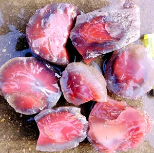 <strong>Wholesale</strong> Nature <strong>Crystals</strong> Rough Stones Carnelian Red Agate <strong>Raw</strong> Stones for Sale - Product Image 1