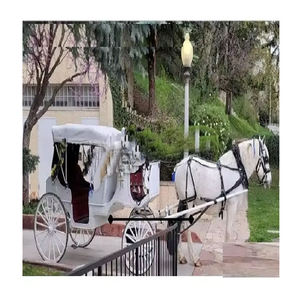 Asombrosa Carruada Victoriana Cubierta con Caballos para Bodas, Fabricante de Carruadas con Caballos, Elegante Carruada India con Caballos - Product Image 1