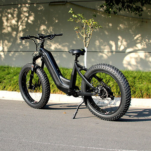Bicicleta Eléctrica con Motor Trasero de 750W, Batería de 48V 15Ah/30Ah, Velocidad de 50KM/H, HD750 750W Motor Trasero - Product Image 1