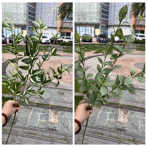 ต้นไม้ประดิษฐ์สีเขียวพร้อมใบมังกร ใบตาข่าย ใบทรานเดสคานเทีย เซบรินา ลิลลี่ แบมบู ขนาด 30 ซม.-100 ซม. สำหรับตกแต่งงานแต่งงาน - Product Image 4