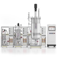 Système de Fermentation Multi-Étapes en Acier Inoxydable avec Agitation Mécanique et Contrôle PID, Capacité 5L-50000L, pour la Fermentation des Acides Aminés
