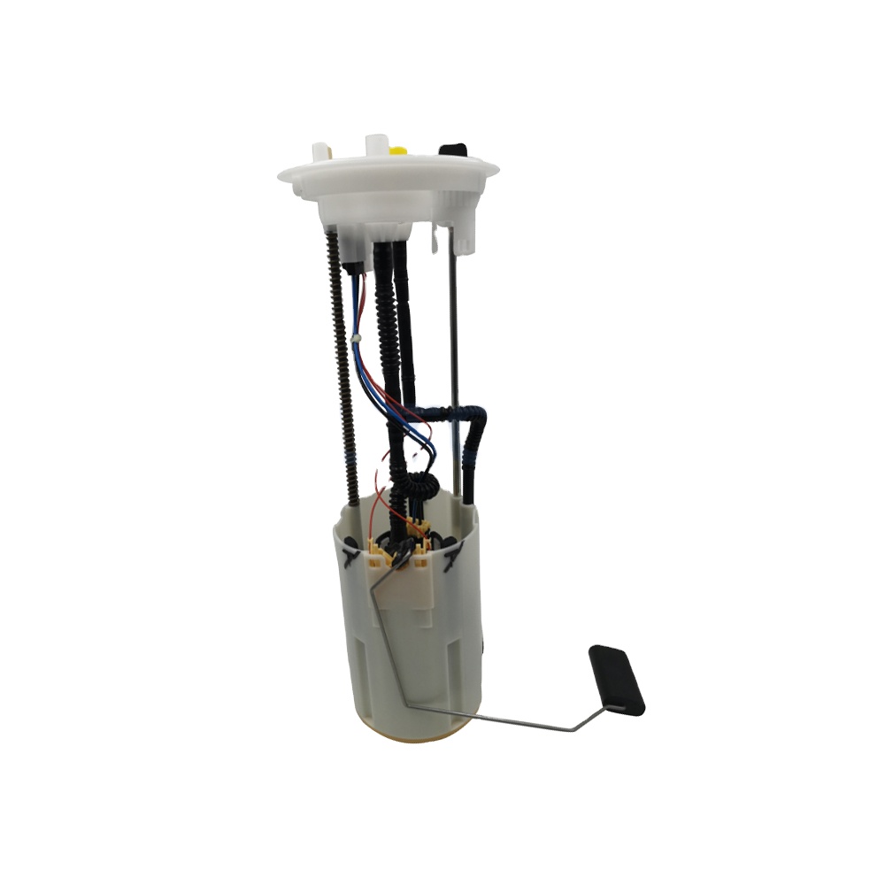 High Quality Fuel Pump Module Assembly for Citroen Jumper 2008 2.2L 1348830080 27329366