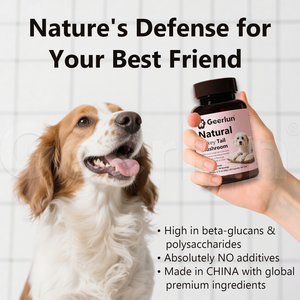 Suplementos <span class=keywords><strong>de</strong></span> Polisacáridos <span class=keywords><strong>para</strong></span> Mascotas <span class=keywords><strong>de</strong></span> Marca Privada, Mejora la Resistencia, Promueve la Capacidad Pulmonar, Cápsulas <span class=keywords><strong>de</strong></span> Champiñones <span class=keywords><strong>para</strong></span> <span class=keywords><strong>Perros</strong></span> - Product Image 3