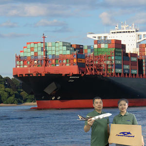 专业物流船舶代理海运进口产品中国到美国Ddp，价格最便宜，服务最好 - Product Image 6