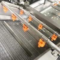 Lwt Fruit Groente Reinigingslijn Kern Plc Tandwielpomp Motor Voor Ananas Oranje Mango Knoflook Apple Tomaat Aardappel Wasmachine
