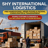 Service de logistique DDP porte-à-porte, fret LCL + express, transitaire, transport mondial, agent maritime professionnel SHY