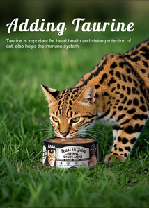 Suministro <span class=keywords><strong>de</strong></span> fábrica Atún enlatado 85g Comida enlatada para gatos Sopa Gelatina Mousse Forma Gato Comida húmeda Comida enlatada para mascotas para gatos - Product Image 5