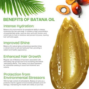 <span class=keywords><strong>Mascarilla</strong></span> de Aceite de Batana Crudo OEM <span class=keywords><strong>para</strong></span> Hidratar, Reparar el <span class=keywords><strong>Cabello</strong></span> Dañado y Fortalecerlo, <span class=keywords><strong>Mascarilla</strong></span> Capilar de Manteca de Batana de Honduras, de China - Product Image 5