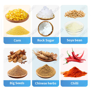 Broyeur à broches en acier inoxydable à haute efficacité avec moteur et roulement pour le traitement des céréales alimentaires et des épices, sortie de 10 à 120 mailles - Product Image 4