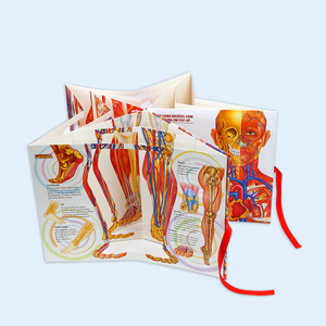 Libro Pop-up OEM 2025 para Modelos del <span class=keywords><strong>Cuerpo</strong></span> <span class=keywords><strong>Humano</strong></span> - Product Image 5