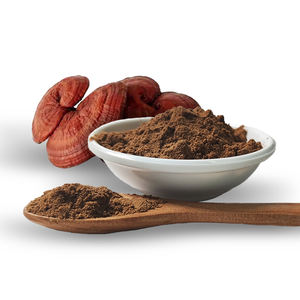 מוצר לינגג 'י אורגני עם ganoderma כוח מזין reishishi כפול תמצית אבקת - Product Image 1