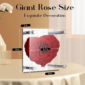 Nuove idee di prodotto 2024 per sempre flure in acrilico scatola fiorista forniture Fiori Stabilizzati rosso vero naturale conservato rose Fiori - Product Image 3