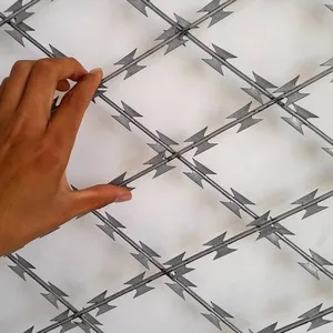 galvanized blade concertina safety razor wire mesh netting