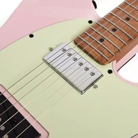Warehouse Hot Stock Electric Guitar JOM- TE Flexible MOQ Custom Color Custom Logo for Global Music Retailers