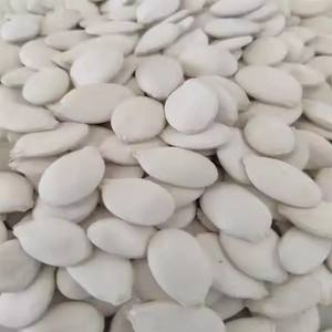 Per uso alimentare brillare la pelle <span class=keywords><strong>semi</strong></span> <span class=keywords><strong>di</strong></span> <span class=keywords><strong>zucca</strong></span>/biancaneve <span class=keywords><strong>semi</strong></span> <span class=keywords><strong>di</strong></span> <span class=keywords><strong>zucca</strong></span> in sfuso sgusciato <span class=keywords><strong>di</strong></span> più dimensioni disponibili - Product Image 4