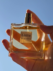 Evan Fruity Floral Men's Perfume 50ml Regular Size Wholesale Eau De Parfum Spray Long Lasting Cologne Natural & Modern Daily Us - Product Image 2