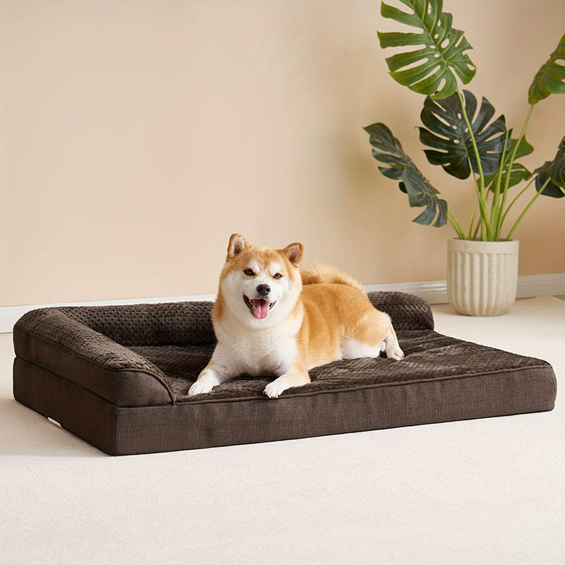 สีน้ำตาลกาแฟ