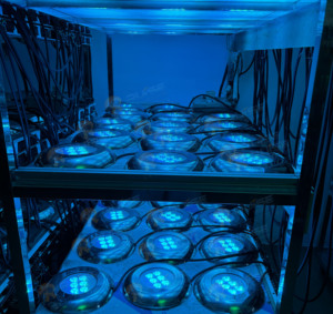 Luz LED Sumergible para Piscina, Montaje <span class=keywords><strong>en</strong></span> Pared, Súper Brillante, Empotrada, IP68, 24V, RGB, Acero Inoxidable 316L, 3600 Lúmenes - Product Image 5