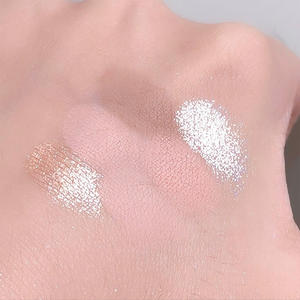 Daimanpu Private Label Groothandel Bulk Make-up Oogcosmetica Oogschaduwpalet Vegan Hooggepigmenteerd Kleurrijk Langhoudende Oogschaduw - Product Image 6