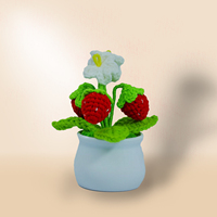 Nouvellement conçu auto-fait au crochet avec de la laine Creative Tricoté Mini-taille Pots de plantes mignons et encourageants positivement
