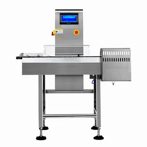 Small Package Bag Check Weighing Machine Belt Conveyor Check Weigher Digital Auto Checking Weighing Scale