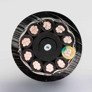 Lskabel Certification UE Chaîne de traînée PUR Câble à paire torsadée blindée PUR HF CY(ST) 6*2*0.12mm2 Câble résistant à la corrosion - Product Image 4