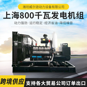 เครื่องกำเนิดไฟฟ้าดีเซลเซี่ยงไฮ้ 800 กิโลวัตต์ สำหรับอุตสาหกรรมเหมืองแร่ ใช้ไฟ 50 เฮิรตซ์ 1500 รอบต่อนาที 400/230 โวลต์ - Product Image 5