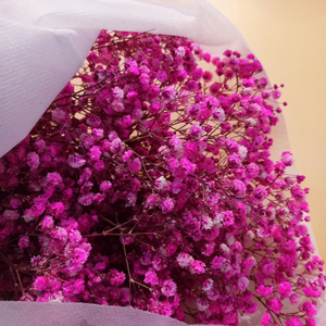 Flor de Gypsophila Natural Preservada de Larga Duración para Decoración - Product Image 5