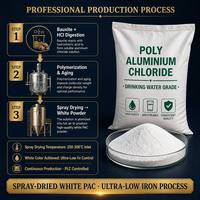 Chlorure de polyaluminium blanc PAC de haute pureté, norme pour l'eau potable