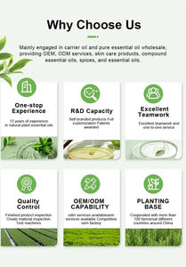 Marque privée Huile de cheveux naturelle et biologique au romarin Anti-chute de cheveux Réparation du cuir chevelu Huile de romarin Bio pour la croissance des cheveux - Product Image 6