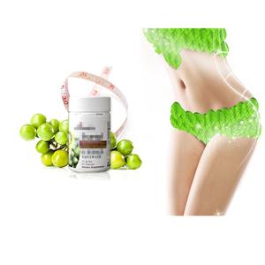 공장 손실 무게 10%-98% chlorogenic 산 천연 녹색 커피 콩 추출물 - Product Image 2