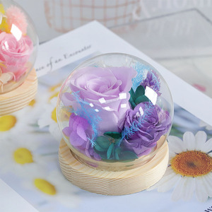 Cadeaux en gros que les jeunes adorent : Rose véritable préservée sous cloche en verre avec base en bois pour la décoration intérieure - Product Image 5