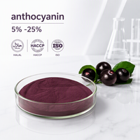 Extrait de Cassis en Poudre Qualité Alimentaire 100% Hydrosoluble Haute Teneur en Anthocyanes Extraction par Solvant Emballage Fût 20kg