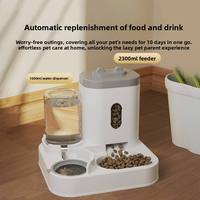 Fabricant chinois, vente en gros, distributeur d'eau en plastique à grande capacité, 2-en-1, distributeur automatique et bol à eau portable