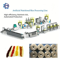 Système de traitement du riz artificiel de qualité industrielle, mélangeur de riz nutritionnel, capacité de 300 kg/h, acier inoxydable de qualité alimentaire, numérique