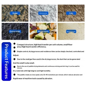 Essiccatore a pale cave per fanghi chimici e fanghi urbani, per impieghi gravosi, <span class=keywords><strong>dimensioni</strong></span> personalizzabili, progettato e prodotto in base alla capacità, 4 anni di garanzia - Product Image 2