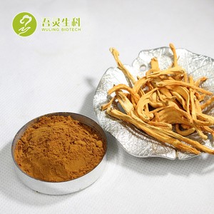 Precio al por mayor <span class=keywords><strong>de</strong></span> la naturaleza Cordyceps Militaris exract polvo beta glucano 40% mejorar la memoria y la atención - Product Image 3