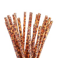 Pailles à boire réutilisables en plastique rigide de 23 cm, imprimées léopard, avec brosse de nettoyage