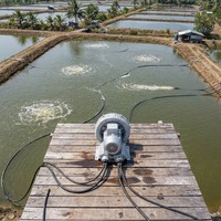 Souffleur annulaire monophasé 220V pour ferme piscicole, aérateur 750W 1HP, pompe à air pour aquaculture