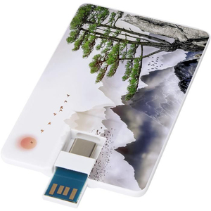 แฟลชไดรฟ์ USB แบบ OTG Type C ความจุจริง  รับทำตามสั่ง สำหรับ<span class=keywords><strong>โปร</strong></span><span class=keywords><strong>โม</strong></span><span class=keywords><strong>ชั่</strong></span><span class=keywords><strong>น</strong></span> - Product Image 1