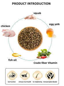Großhandel Bio Nicht-GVO Kohlenhydratarm Proteinreiches Trockenfutter für Katzen - Schmackhafter Thunfisch für Senioren zur Zahnpflege und Muskelaufbau - Product Image 4