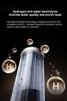YenvQee 3000~4000PPb Technologie de stérilisation haute concentration Machine ioniseur d'eau potable portable chaude et froide purifiée