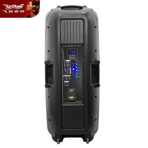 Altavoz estéreo inalámbrico BT TWS PARA Karaoke, dispositivo de audio acústico portátil de 12 pulgadas, con sistema público con dientes azules activos - Product Image 3