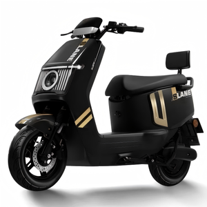 Moto de transport familial pour trajets courts, moteur 1200W, batterie 48V-72V, charge utile 200kg, franchissement facile des cimetières - Product Image 1