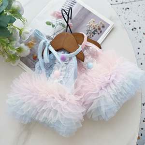 Robe Tutu pour Chien et Chat, Vêtements pour Petit Chien, Accessoires pour Animaux de Compagnie, Robe Assortie pour Chien et Propriétaire, Robe de Luxe pour Newfoundland - Product Image 1