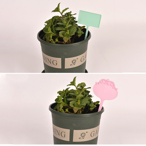 Etichette da <span class=keywords><strong>Giardino</strong></span> OEM DD1203 Mini, Set da 12 Pezzi, Quadrati, per Identificazione Fiori, Marcatori per Piante Grasse, Inserti per Vasi, Picchetti per Semenzali - Product Image 5